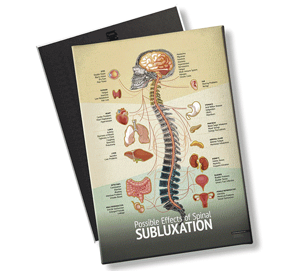 Best Chiropractic Educational Posters