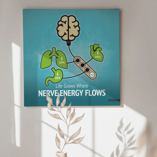 life-grows-where-nerver-energy-flows