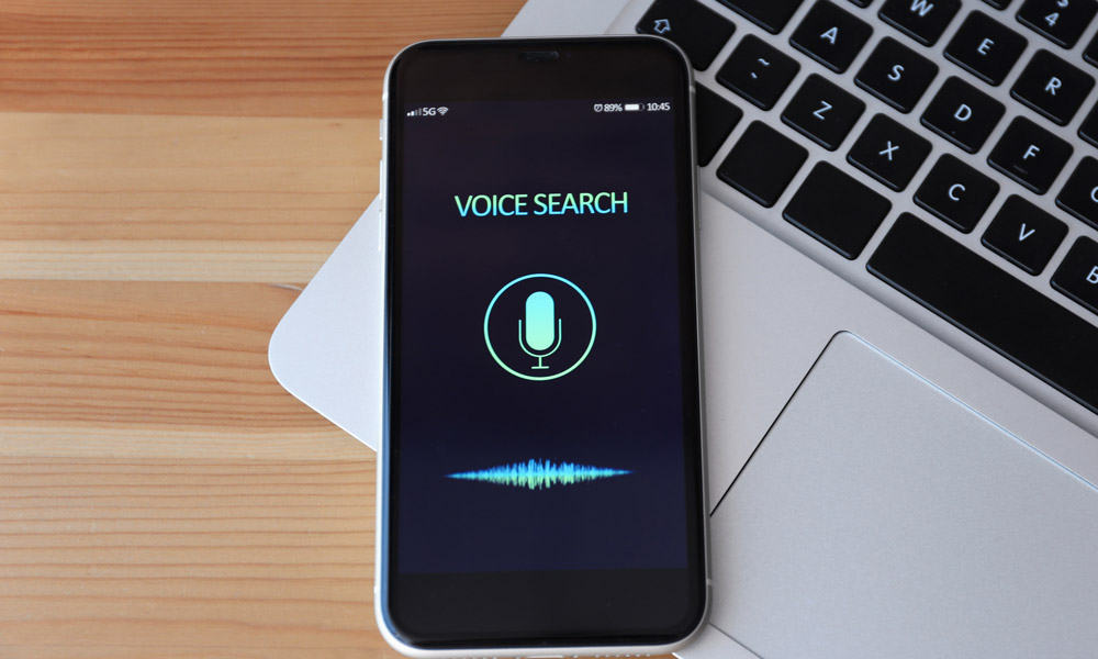 Voice Search Chiropractor SEO
